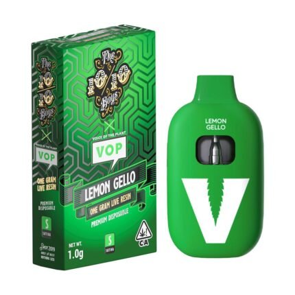 TT x VOP Lemon Gello